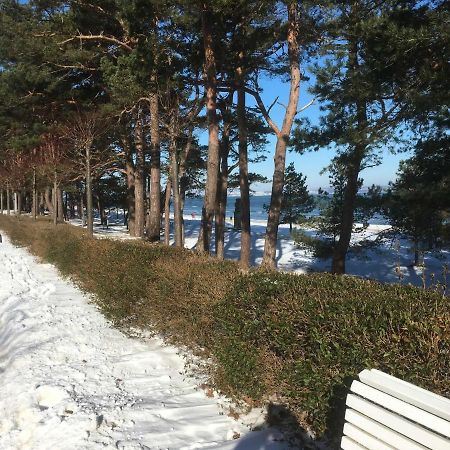 Villa Sanddorn Wg 27 Binz Zewnętrze zdjęcie